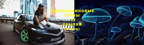 дживик Абинск