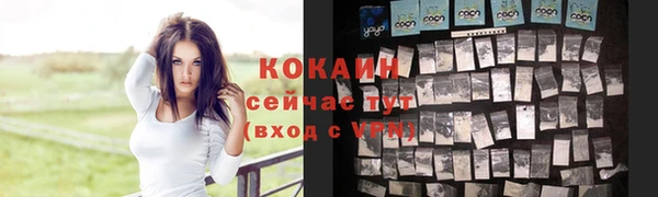 прущие крисы Алексеевка