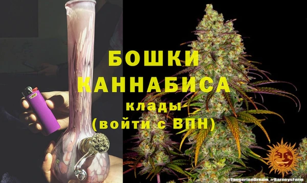 PSILOCYBIN Абаза