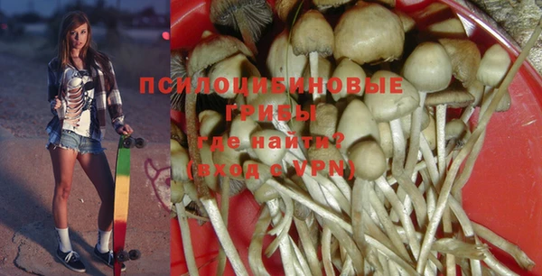 ПСИЛОЦИБИНОВЫЕ ГРИБЫ Алзамай