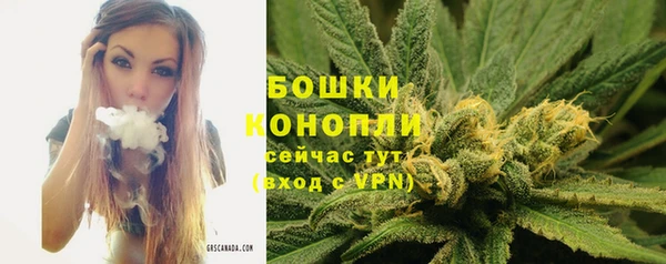 PSILOCYBIN Абаза