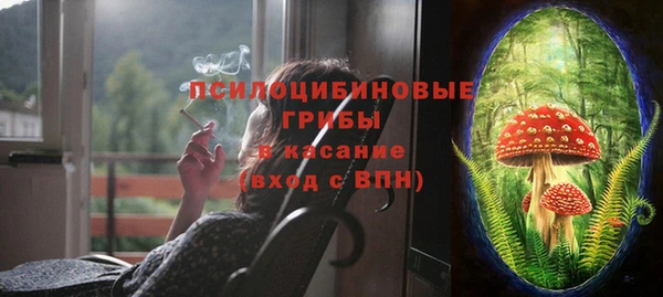 PSILOCYBIN Абаза