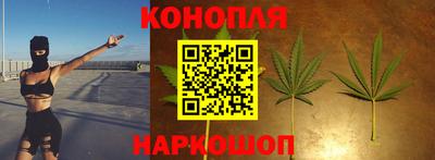 прущие грибы Краснокаменск
