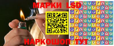 прущие грибы Краснокаменск