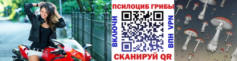 Псилоцибиновые грибы Cubensis площадка официальный сайт Ханты-Мансийск omg ссылка