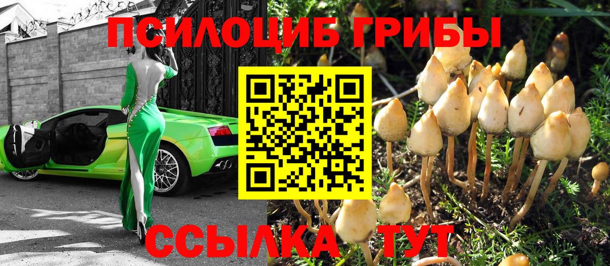Псилоцибиновые грибы мицелий  Вход с VPN  Ханты-Мансийск 